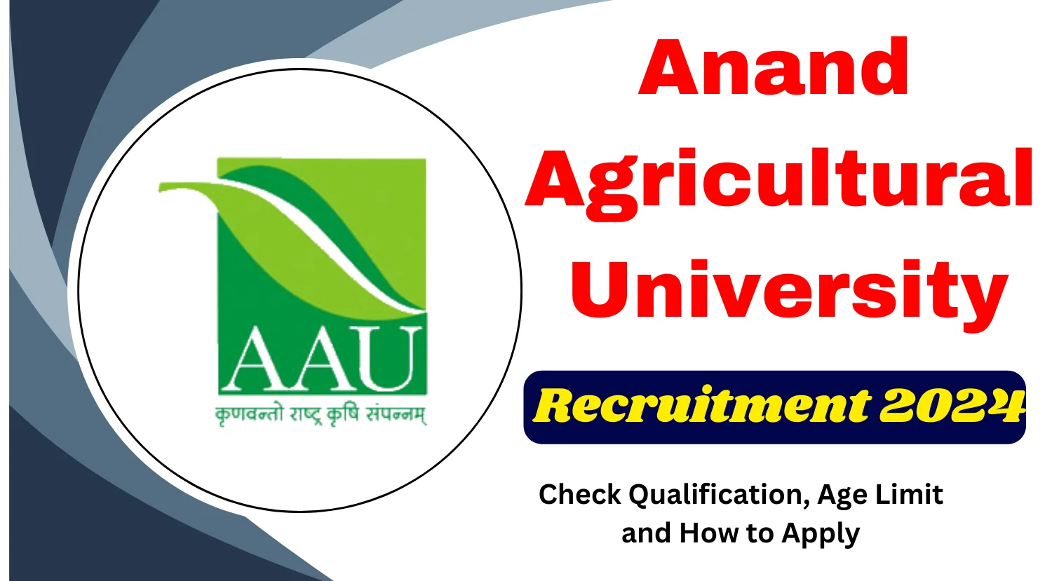 AAU Research Associate Recruitment 2024