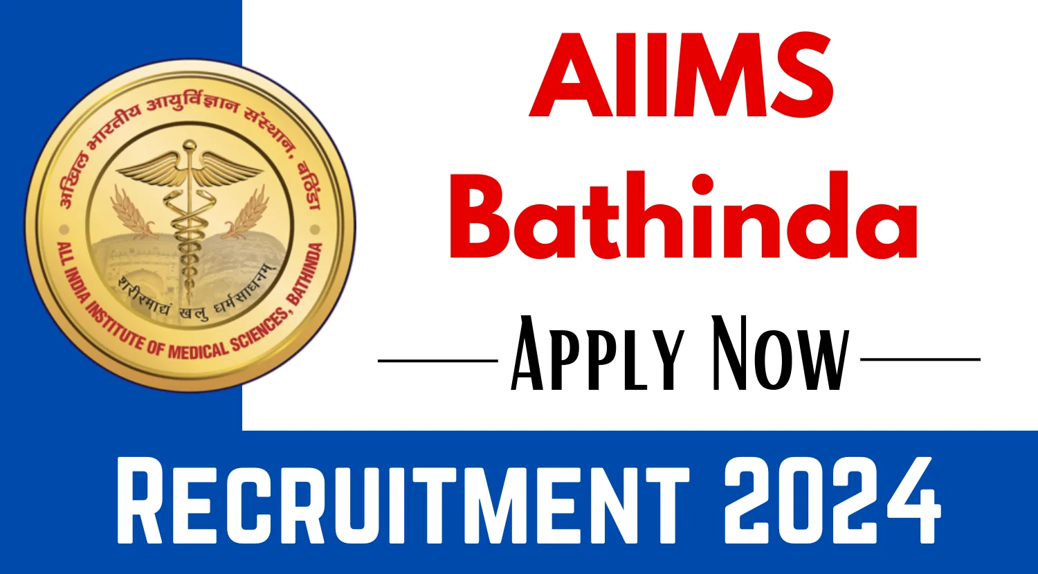 AIIMS Bathinda Programmer Recruitment 2024
