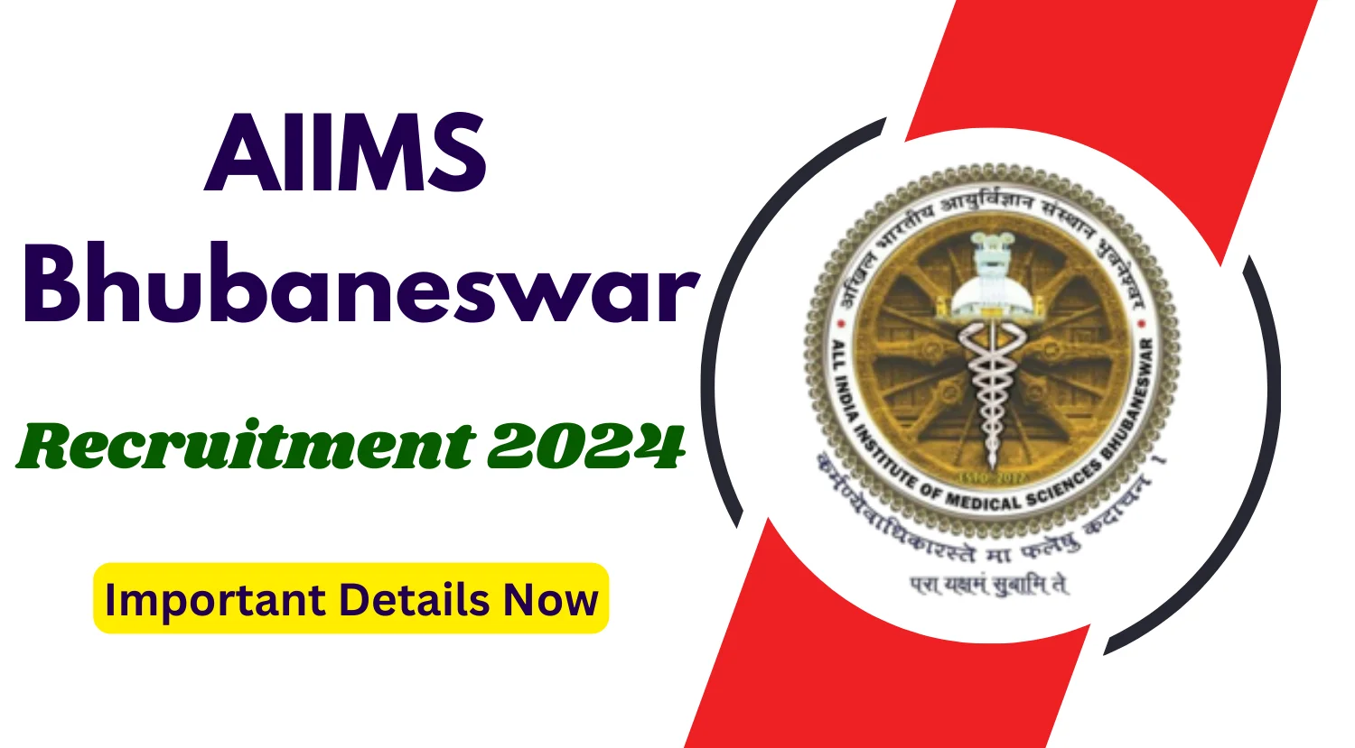 AIIMS Bhubaneswar Senior Research Fellow and Other Recruitment 2024