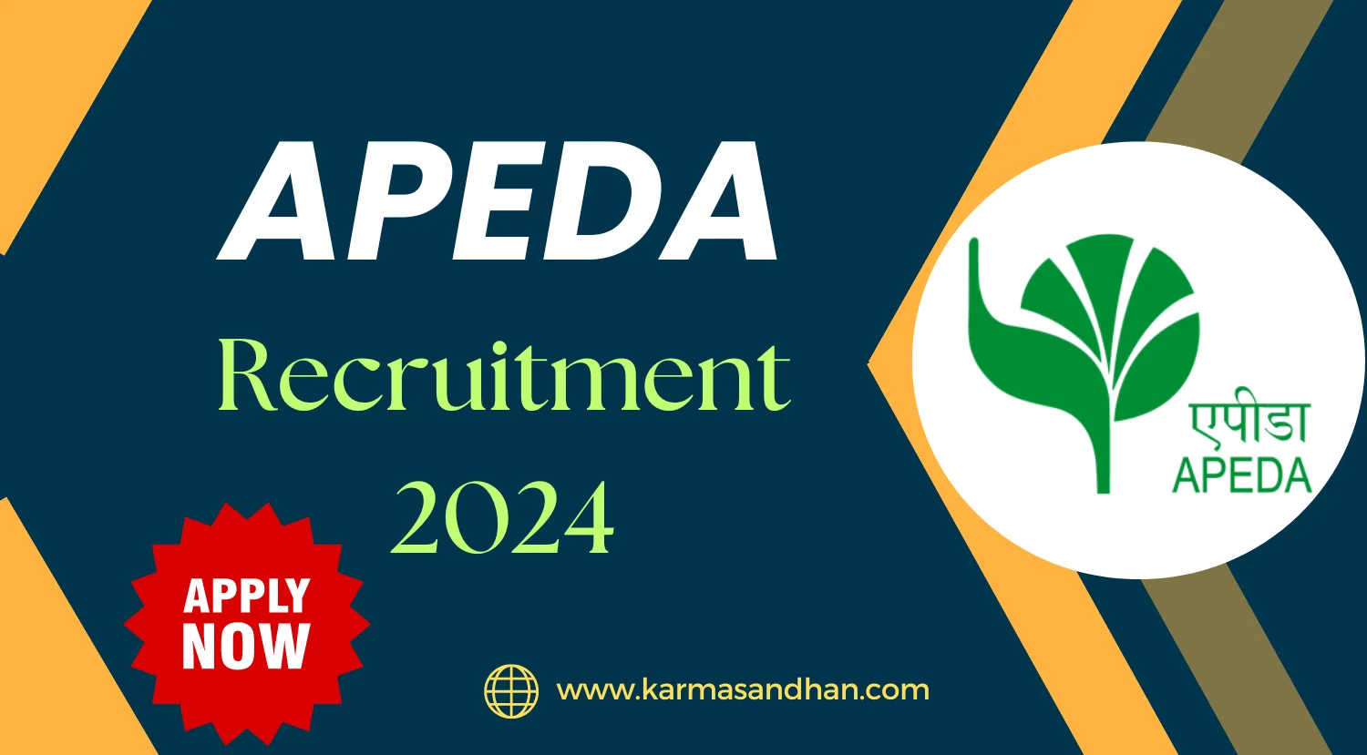 APEDA Associate YP Manager Recruitment 2024