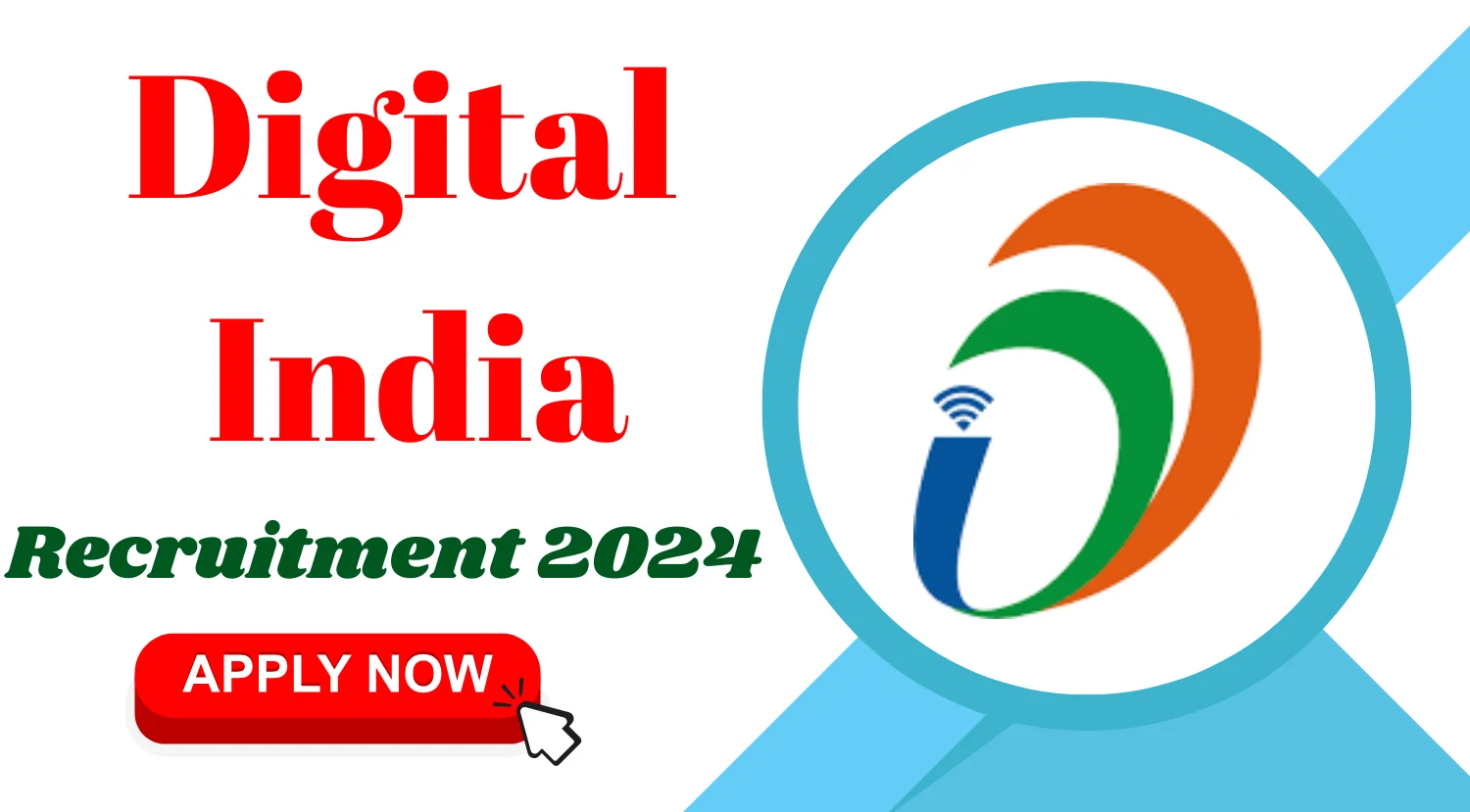 Digital India Project Manager Program Lead Recruitment 2024