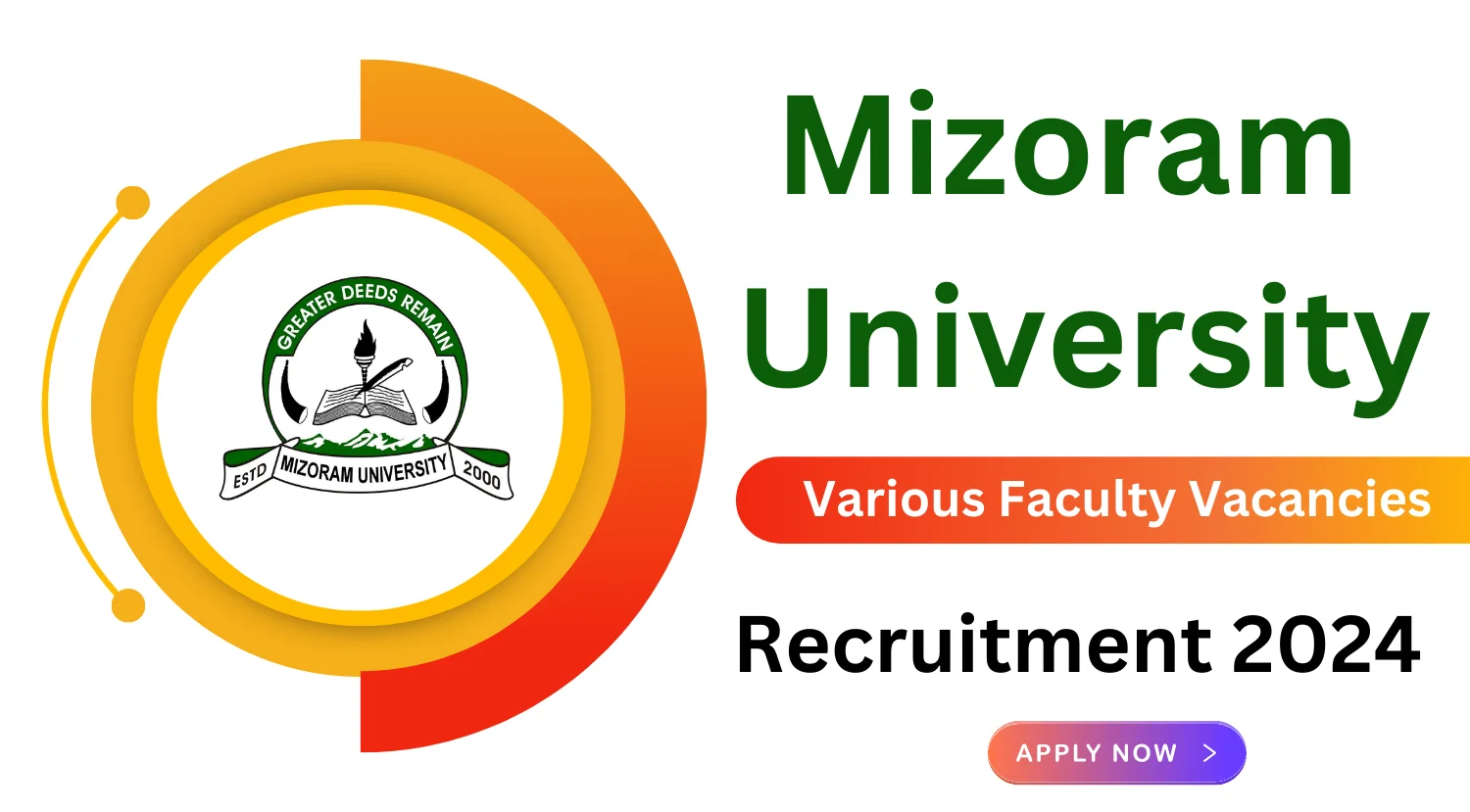 Mizoram University Professor and Others Recruitment 2024