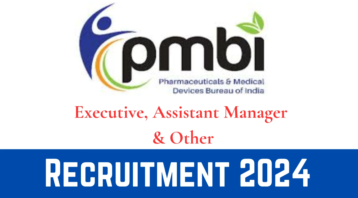 PMBI Assistant Manager Executive Other Recruitment 2024